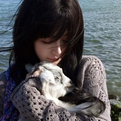 汪汪队立大功第二季